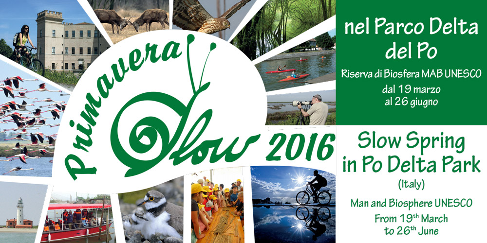 Banner-Primavera-2016-def